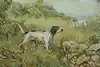Thumbnail image 1
