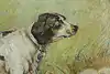 Thumbnail image 7