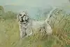 Thumbnail image 8