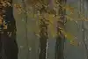 Thumbnail image 10
