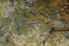 Thumbnail image 9