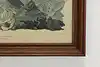 Thumbnail image 7