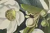 Thumbnail image 13