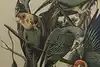 Thumbnail image 10