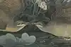 Thumbnail image 7