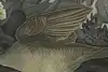 Thumbnail image 8