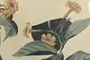 Thumbnail image 10