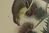 Thumbnail image 13