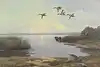 Thumbnail image 1