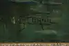 Thumbnail image 12