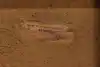 Thumbnail image 17