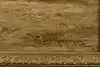 Thumbnail image 11