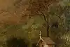 Thumbnail image 8