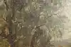 Thumbnail image 10