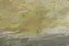 Thumbnail image 10