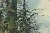 Thumbnail image 8