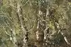 Thumbnail image 9