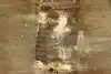 Thumbnail image 21