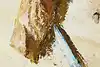 Thumbnail image 8