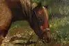 Thumbnail image 7
