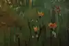 Thumbnail image 8