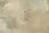 Thumbnail image 10