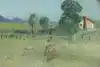 Thumbnail image 9