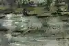 Thumbnail image 8