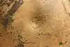 Thumbnail image 13