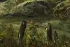Thumbnail image 10