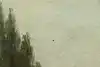 Thumbnail image 14