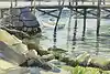 Thumbnail image 1