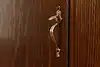 Thumbnail image 22