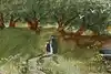 Thumbnail image 8