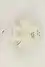 Thumbnail image 6