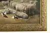 Thumbnail image 6