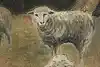 Thumbnail image 8