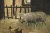 Thumbnail image 9