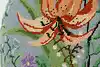 Thumbnail image 6
