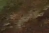 Thumbnail image 12