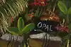 Thumbnail image 11