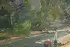 Thumbnail image 11