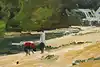 Thumbnail image 7