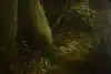 Thumbnail image 12