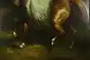 Thumbnail image 17