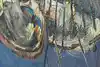 Thumbnail image 15