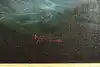Thumbnail image 14