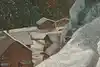 Thumbnail image 12