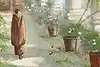 Thumbnail image 8