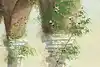 Thumbnail image 9